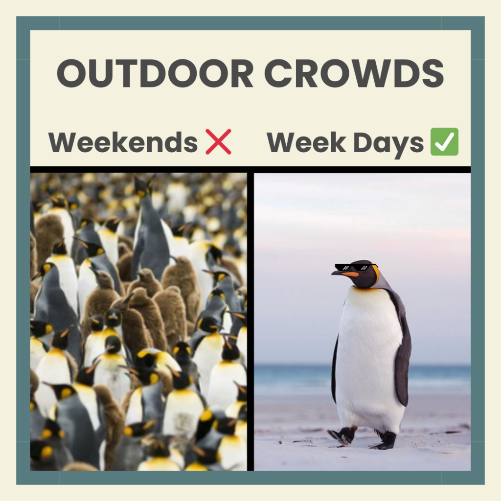 A humorous penguin meme illustrating the difference on how to avoid crowds in the outdoors.