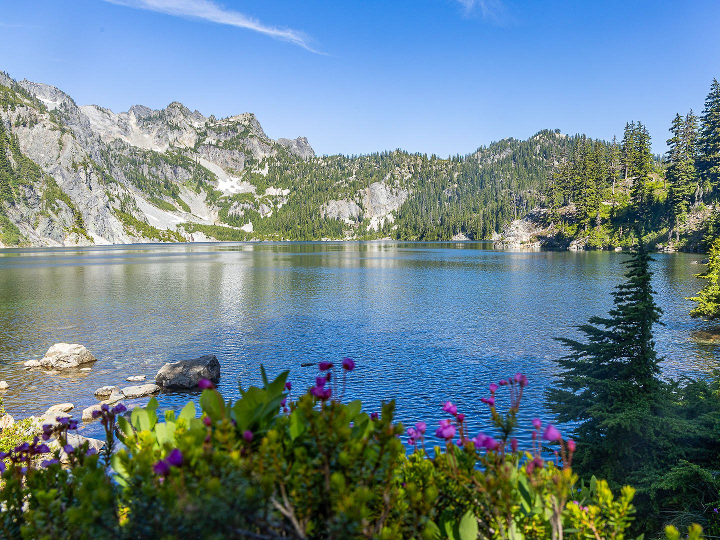 Wildflowers along the shoreline of Snow Lake with calm blue water and surrounding Cascade Mountains during the Optimum Adventures Snow Lake tour.